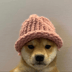 CHR