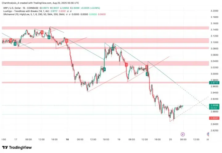 XRP即将暴涨至4美元？XRP未来能涨到多少？