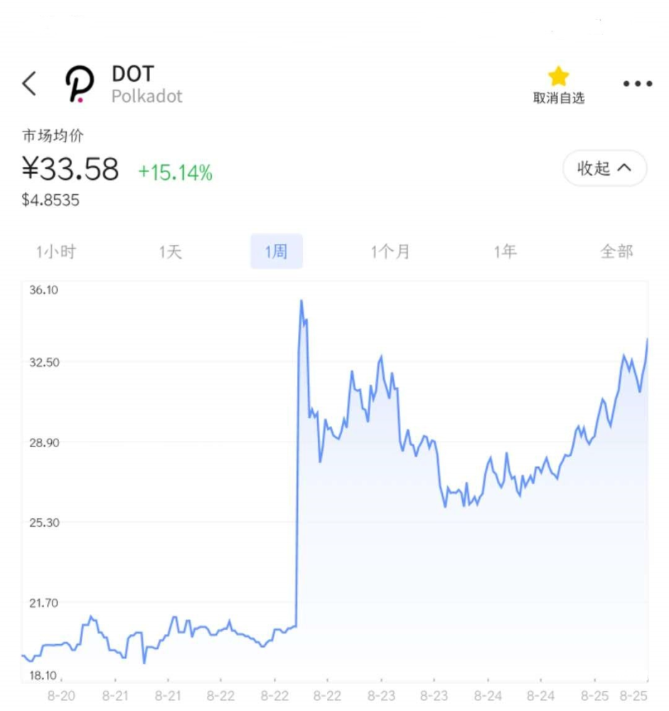 DOT币到底有没有风险？现在投资安全吗？