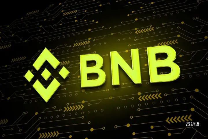 持有 BNB 币有何优势？风险与未来前景全面解析
