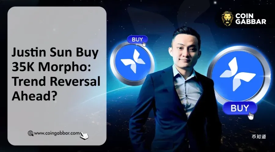 孙宇晨位居榜首，Morpho价格与钱包资产双双飙升19%