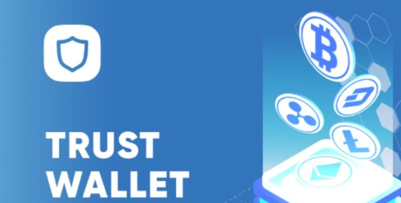 2025年最佳加密货币钱包推荐：新手入门终极指南