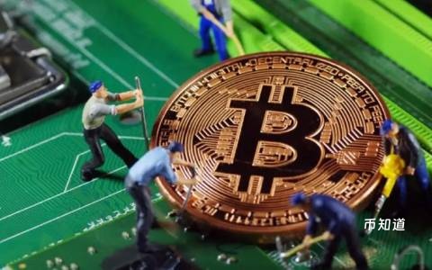 狗狗币与柴犬币未来前景研判：深层价值与市场潜力对比